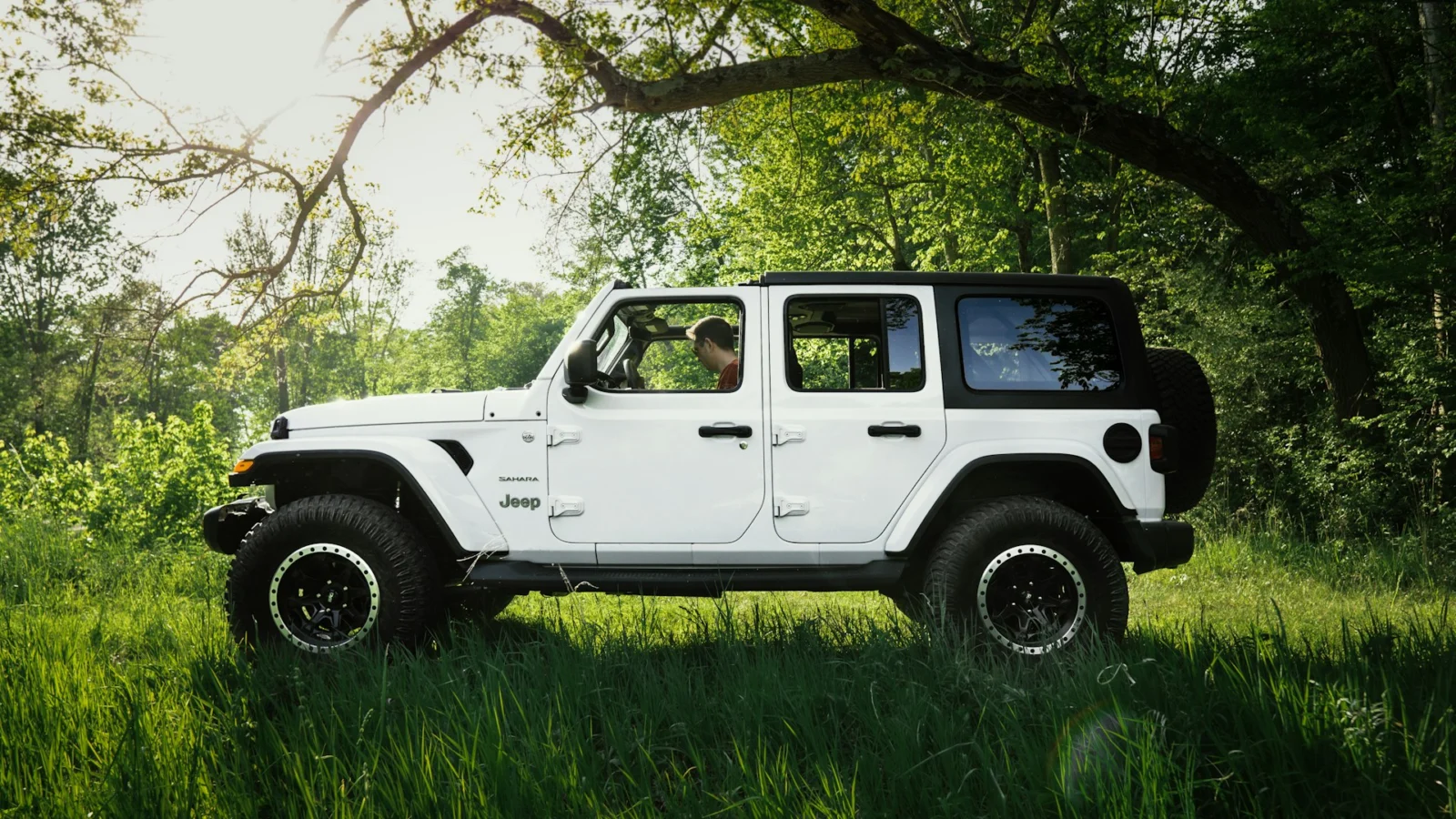 White Jeep Wrangler Unlimited parked on grass under a tree