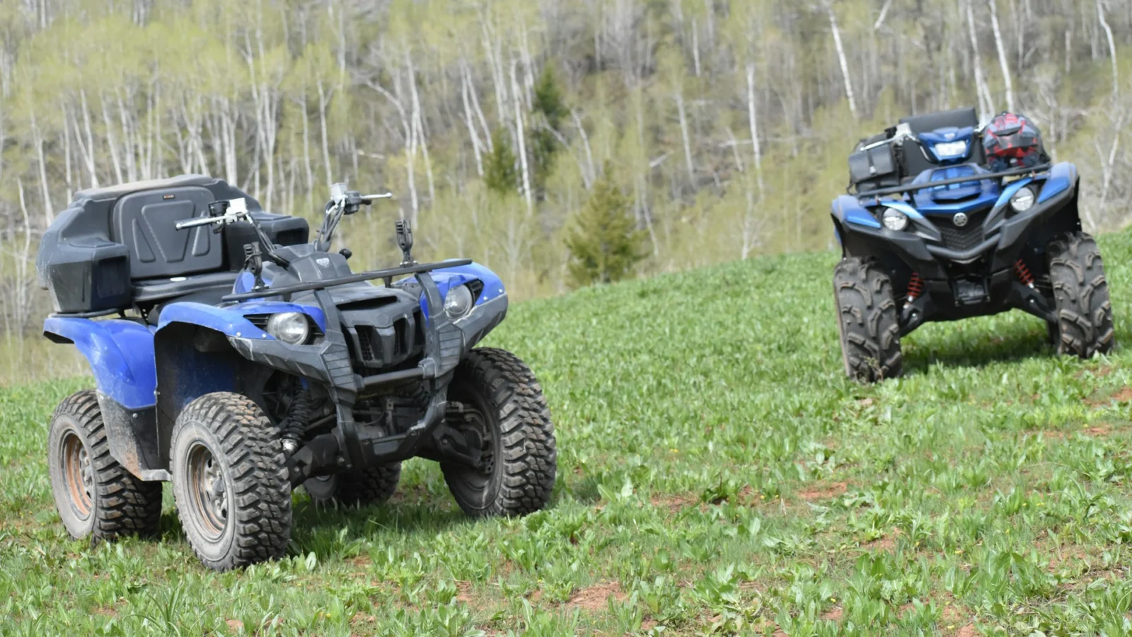 Two blue Yamaha utility ATVs parked in a grassy field